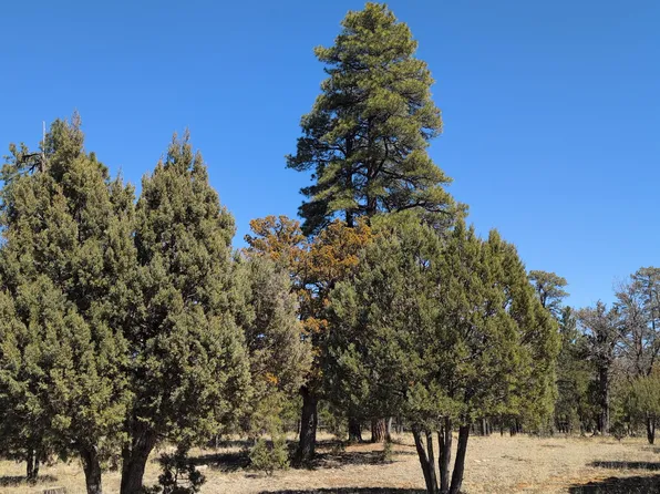 4913 Juniper Dr, Happy Jack, AZ 86024