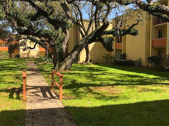 Courtyard at The Cedars with live oaks.