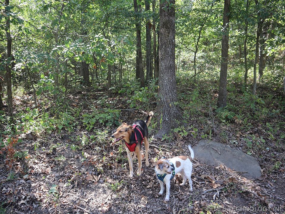 Running Springs Rd, Park Hill, OK 74451 MLS 2231775 Zillow