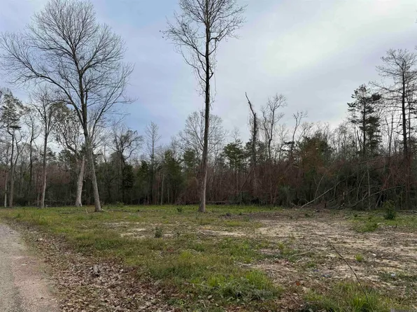 29428 Linda Hvn, Springfield, LA 70462