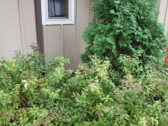 5th image of 104 Eilbes Ave #A7