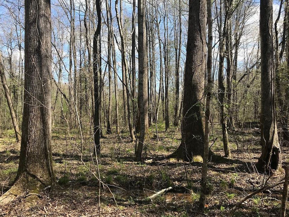 0 Mulberry Rd, Sulligent, AL 35586 Zillow