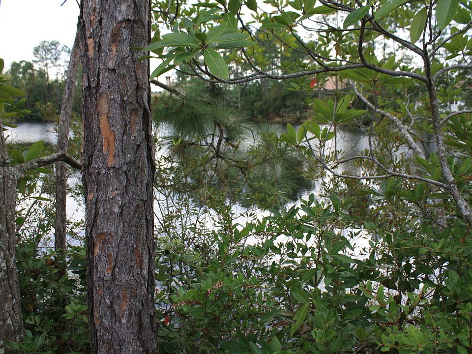 1st image of 5250 Tallulah Lake Ct