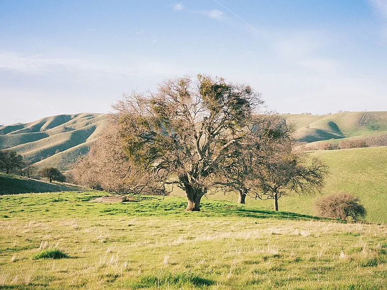 Antioch Hillside Living