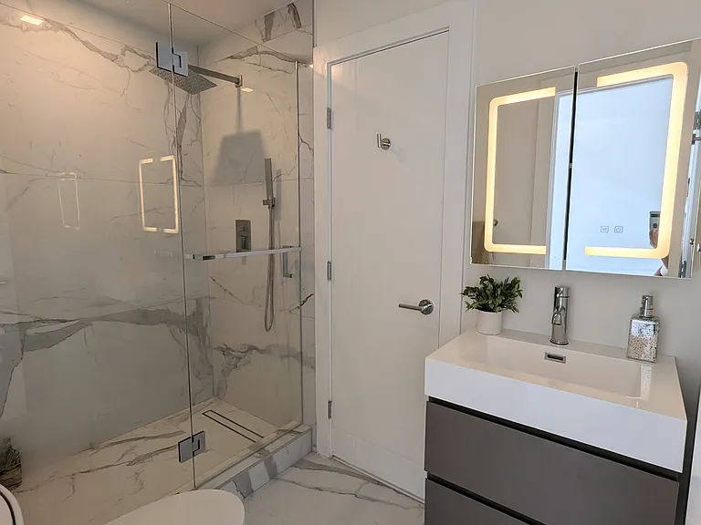 Basement bathroom 2