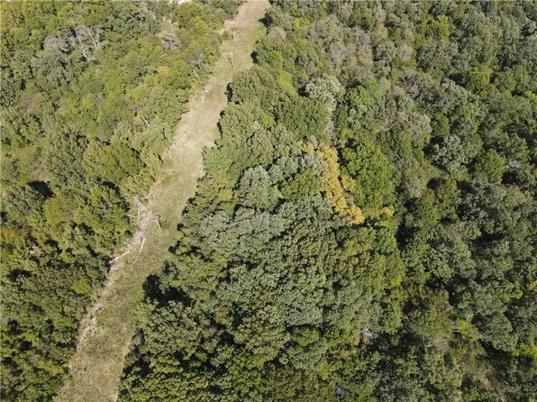 County Road 9021, Green Forest, AR 72638