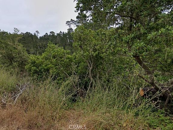 5th image of 2812 Ramsey Rd Lot 42