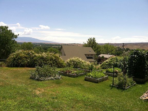 Gardens in fenced back yard