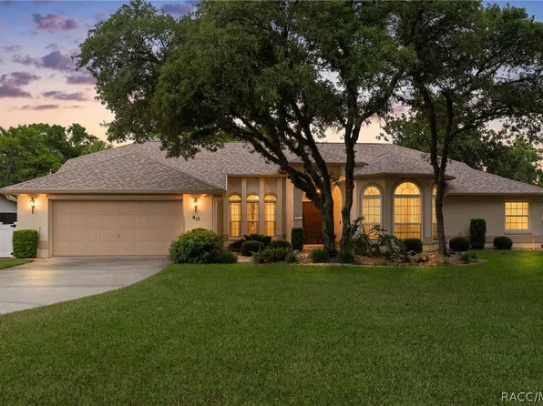 40 Chinkapin Cir, Homosassa, FL 34446