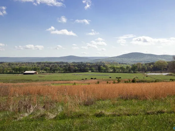 Dug Hill Rd, Brownsboro, AL 35741