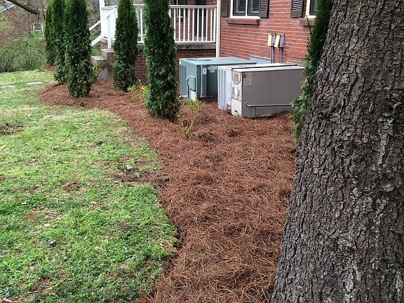 Large Front and back yard with Privacy