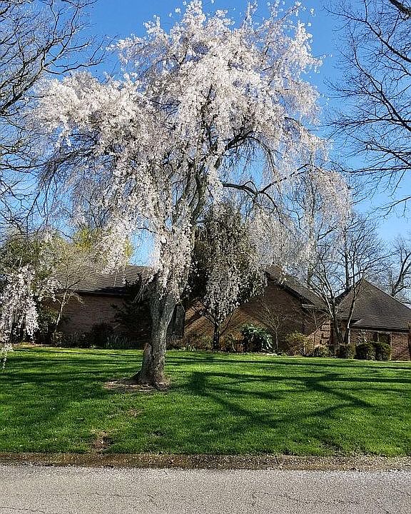 1st image of 332 Golf Cart Dr