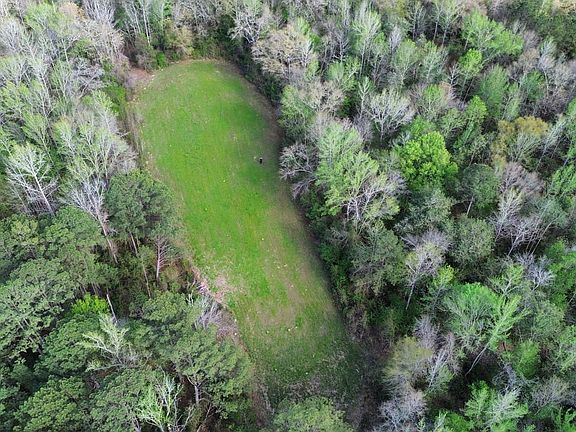 Dji Fly 20260401 171114 577 1775078214334 Photo Optimized