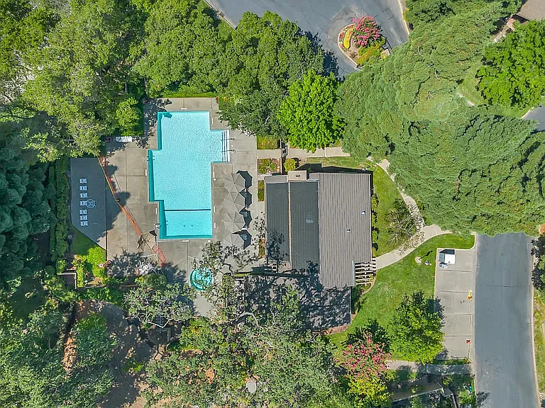 Aerial View of Swimming Pool