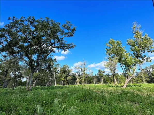 LOT 2 County Road 506, Brazoria, TX 77422