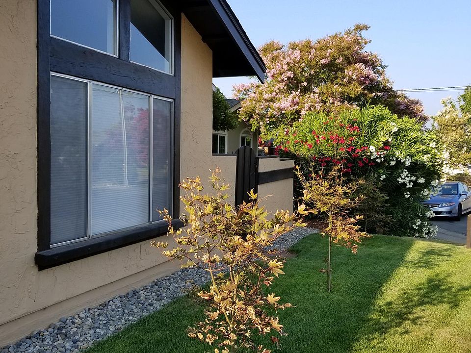 1st image of 2443 Dolphin Dr