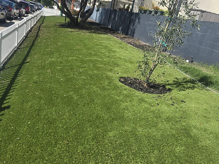 New 100 yard dog park