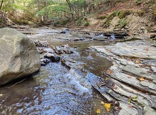 0 Old Italy Valley Rd, Naples, NY 14512