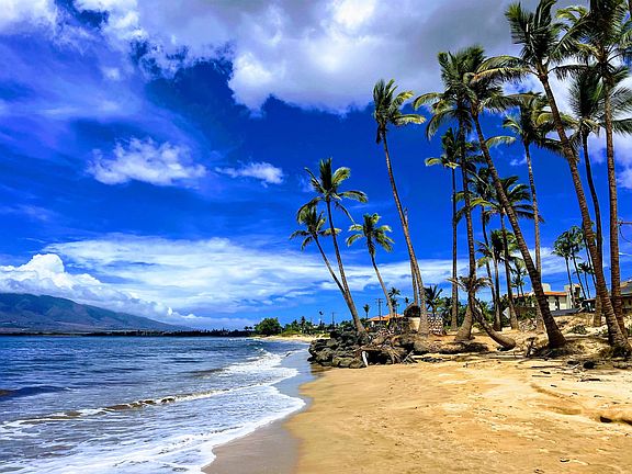 4th image of 350 Kinaole Cir