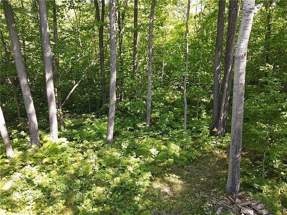 2nd image of XXX 300th Avenue County Road W