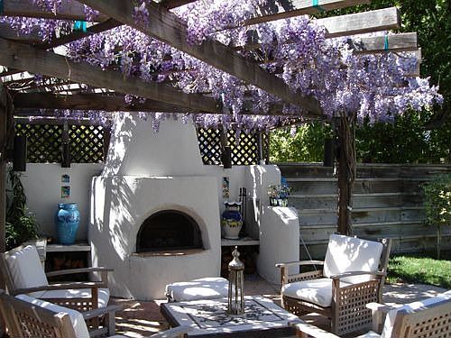 Wisteria in bloom