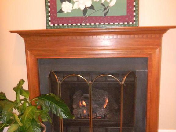 Gas Fireplace
