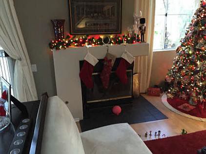 Gas fireplace
