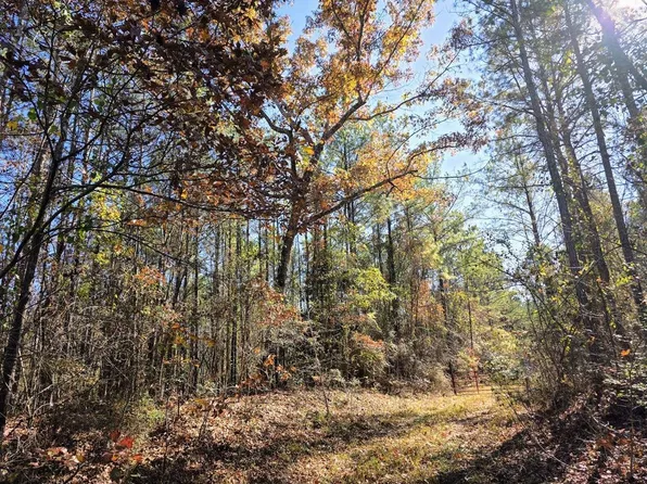 0 County Road 23, Marion, AL 36756