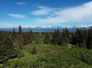 35244 S Upland St, Homer, AK 99603