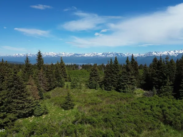 35244 S Upland St, Homer, AK 99603