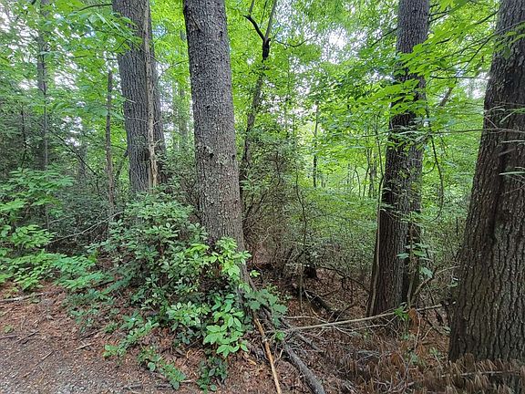 5th image of LOT-22A Mountain Lake Blvd