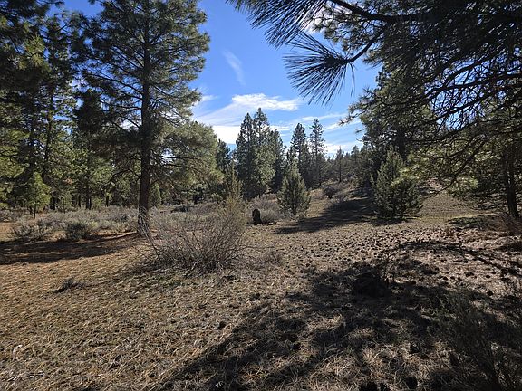 3rd image of Wilderness Way #29