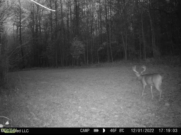 5018 County Road 100, Carrollton, MS 38917