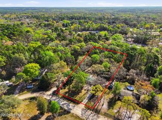 157 Plankton Ave, Middleburg, FL 32068