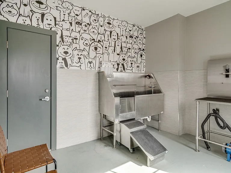 Dog Spa