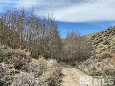Minnehaha Cyn #120, Wellington, NV, 89444