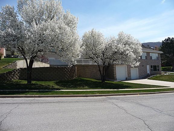 5th image of 1213 E Northridge Dr