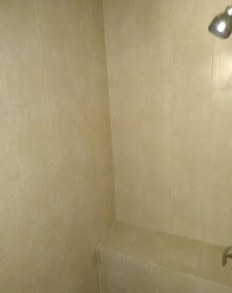 Walk in shower- Master Bedroom