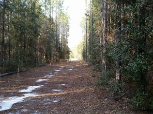 670 SW Infinity Pl, Lake City, FL 32024