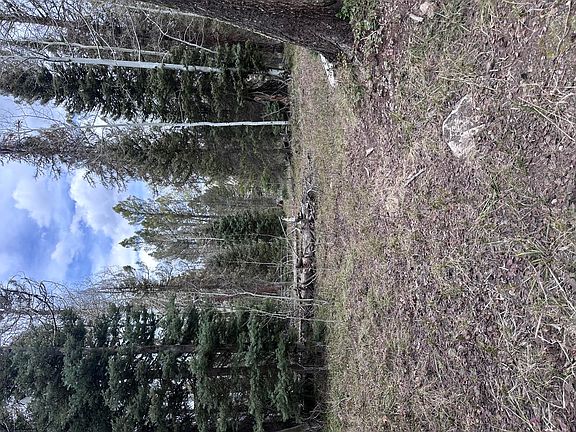 2nd image of 766 Crest Dr Lot 22