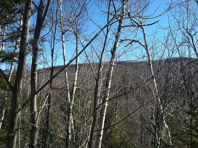 1st image of 2 Brown Mountain Way