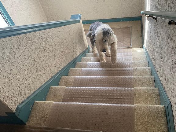 Apartment is on first level