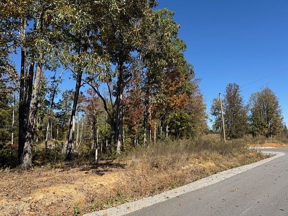 5th image of 9599 Medlin Rd