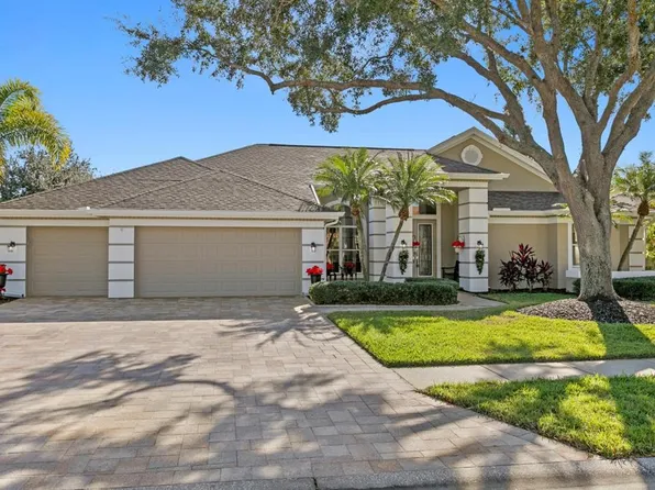 16333 Birkdale Dr, Odessa, FL 33556