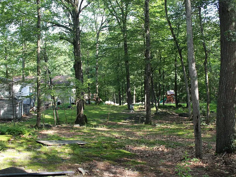 REAR YARD