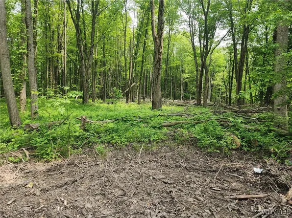 Lake Shore Rd, Angola, NY 14006