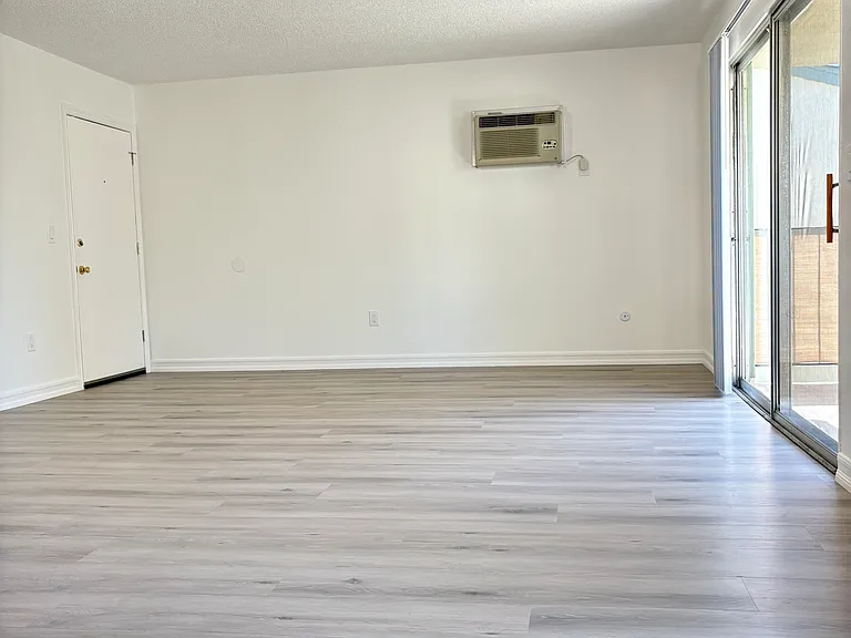 Apt 62 Living room
