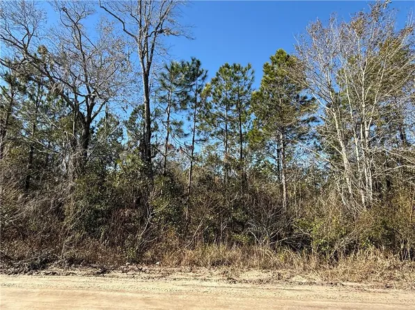 0 Elmer Thrift Rd Tract 3, Waycross, GA 31503