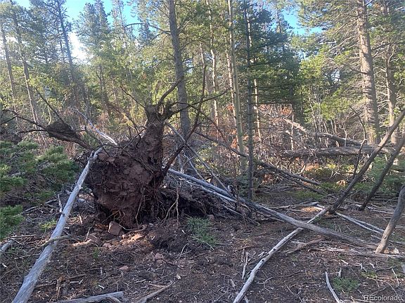 3rd image of 3207 VAUGHN Lane LOT 3207