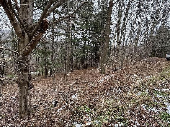 Potential driveway site